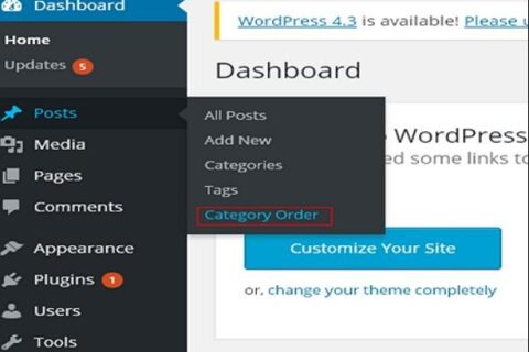 WordPress 分类安排