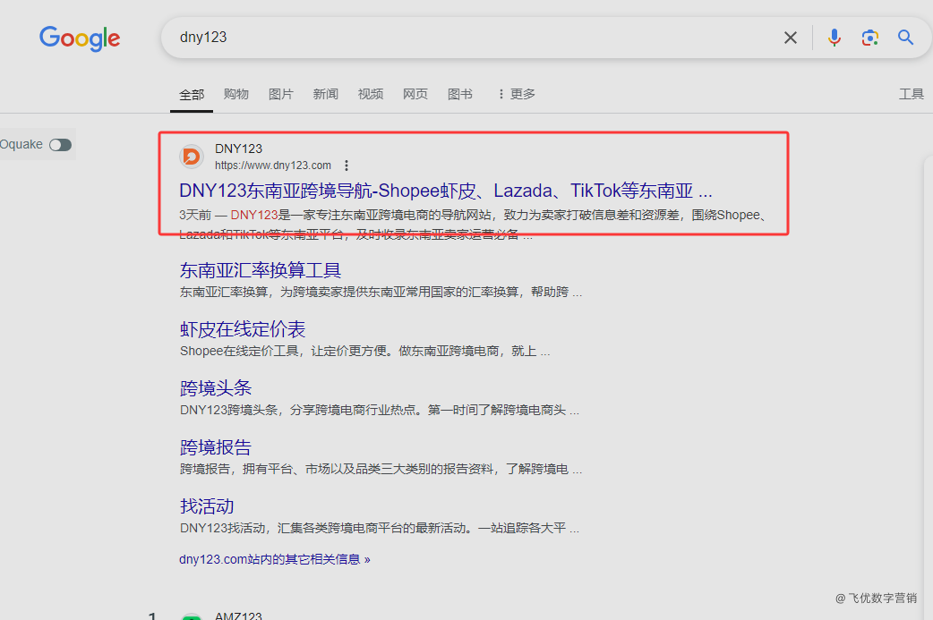 解锁dny123.com的SEO潜力：打造高质量网站的终极指南