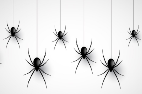 论yisouspider网站恶意爬虫的全面屏蔽之道