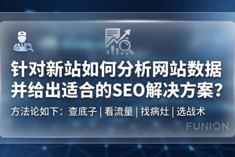 针对新站如何分析网站数据并给出适合的SEO解决方案？